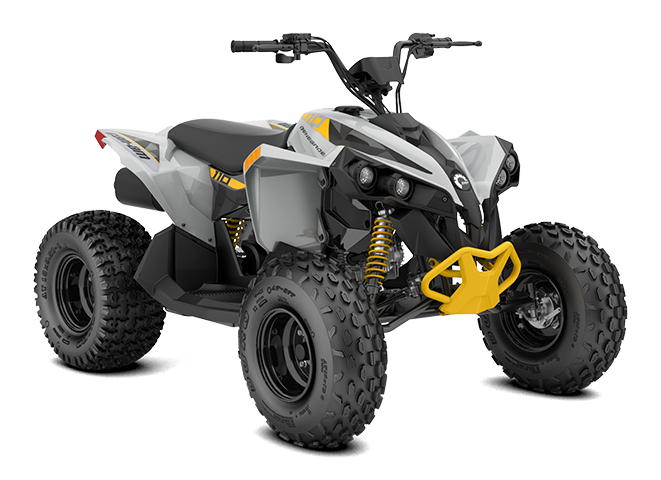 Can-Am-Renegade-STD-110EFI-Catalyst-Gray-Neo-Yellow-2024